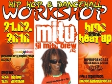 MITU WORKSHOP