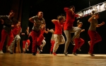 Zvren show tanenho studia High Edition 